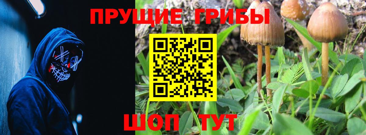 Галлюциногенные грибы мицелий Симферополь